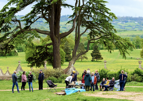 team picnic